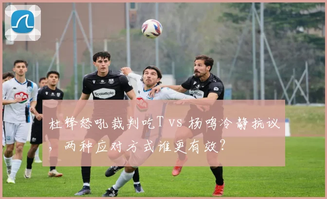 杜锋怒吼裁判吃T vs 杨鸣冷静抗议，两种应对方式谁更有效？